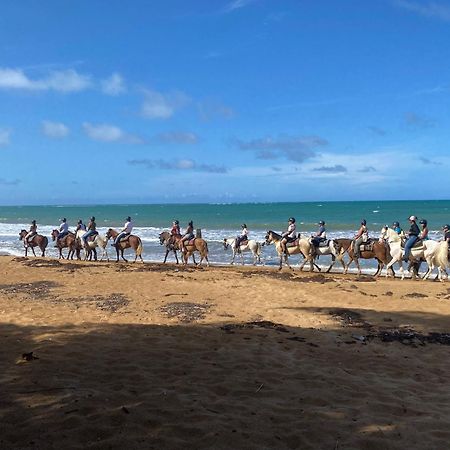 Oceanfront Condo In Luquillo Ngoại thất bức ảnh